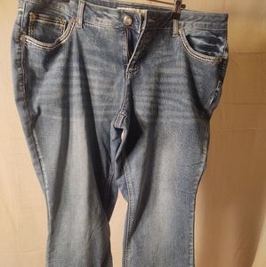 CATO DENIM midrise bootcut jeans. Size 18WP.